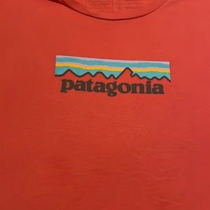 Patagonia tshirt